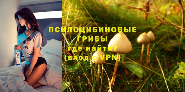 твердый Абинск