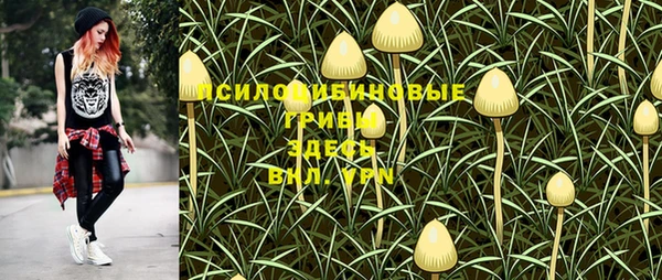 круглые Армянск